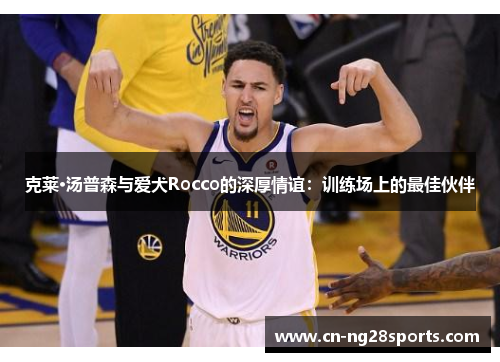 克莱·汤普森与爱犬Rocco的深厚情谊：训练场上的最佳伙伴