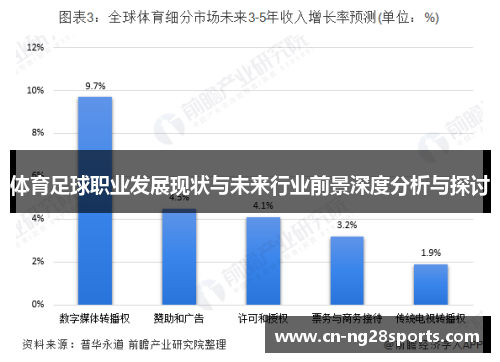 体育足球职业发展现状与未来行业前景深度分析与探讨