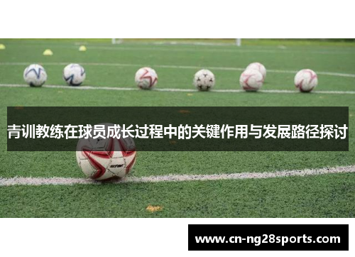 青训教练在球员成长过程中的关键作用与发展路径探讨