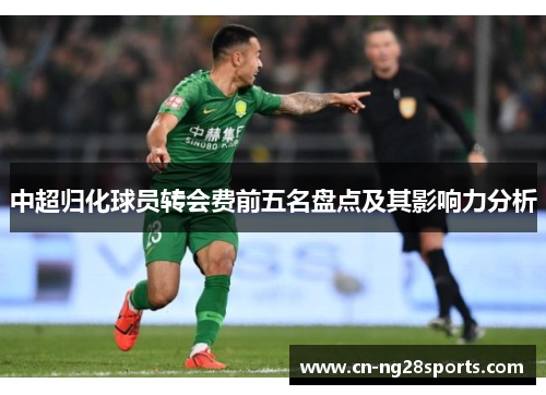 中超归化球员转会费前五名盘点及其影响力分析