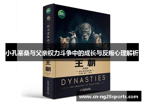 小孔塞桑与父亲权力斗争中的成长与反叛心理解析