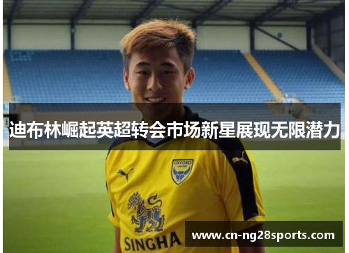 迪布林崛起英超转会市场新星展现无限潜力