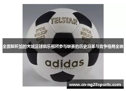 全面解析加的夫城足球俱乐部所参与联赛的历史沿革与竞争格局全貌