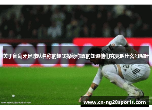 关于葡萄牙足球队名称的趣味探秘你真的知道他们究竟叫什么吗呢呀