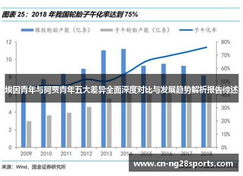埃因青年与阿贾青年五大差异全面深度对比与发展趋势解析报告综述