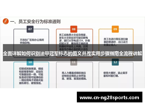 全面详解如何识别法甲冠军标志的图文并茂实用步骤指南全流程讲解