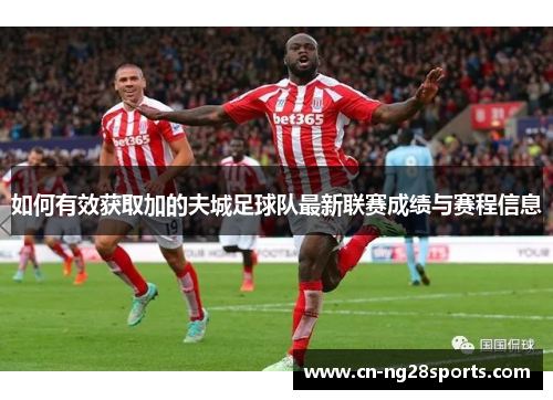 如何有效获取加的夫城足球队最新联赛成绩与赛程信息