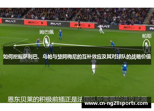 如何挖掘萨利巴、乌帕与楚阿梅尼的互补效应及其对球队的战略价值