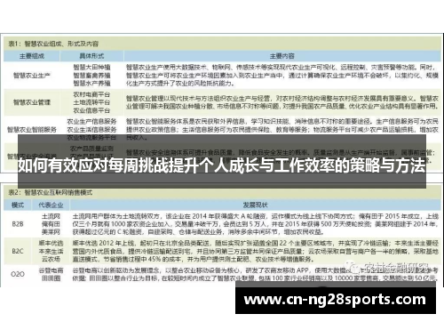 如何有效应对每周挑战提升个人成长与工作效率的策略与方法