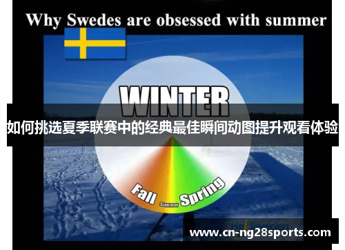 如何挑选夏季联赛中的经典最佳瞬间动图提升观看体验