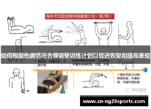 如何根据伤病情况合理调整训练计划以促进恢复和提高表现