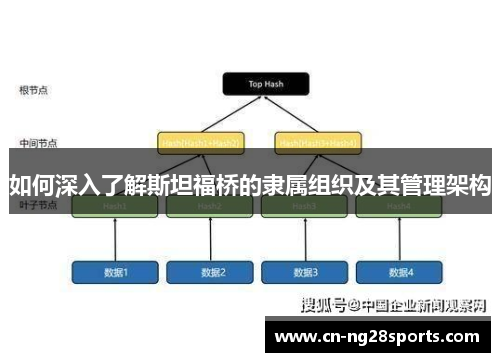 如何深入了解斯坦福桥的隶属组织及其管理架构