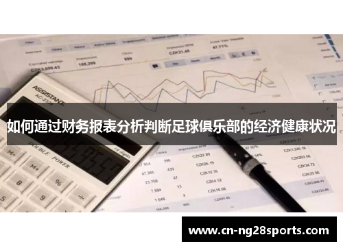 如何通过财务报表分析判断足球俱乐部的经济健康状况